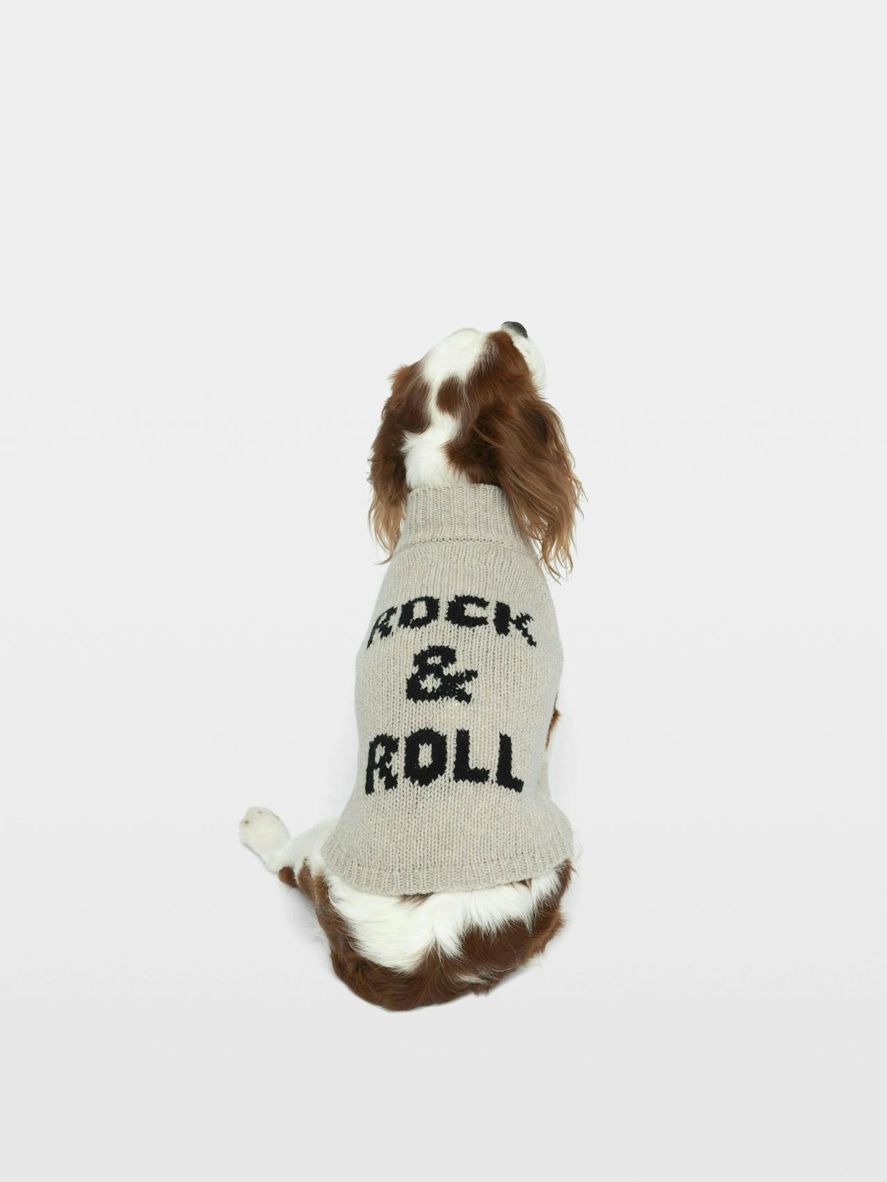 Pullover Zadog 100% Merinowolle