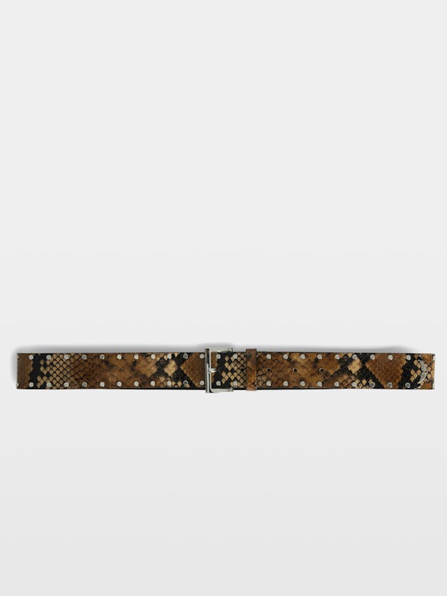 Belt Starlight 35mm