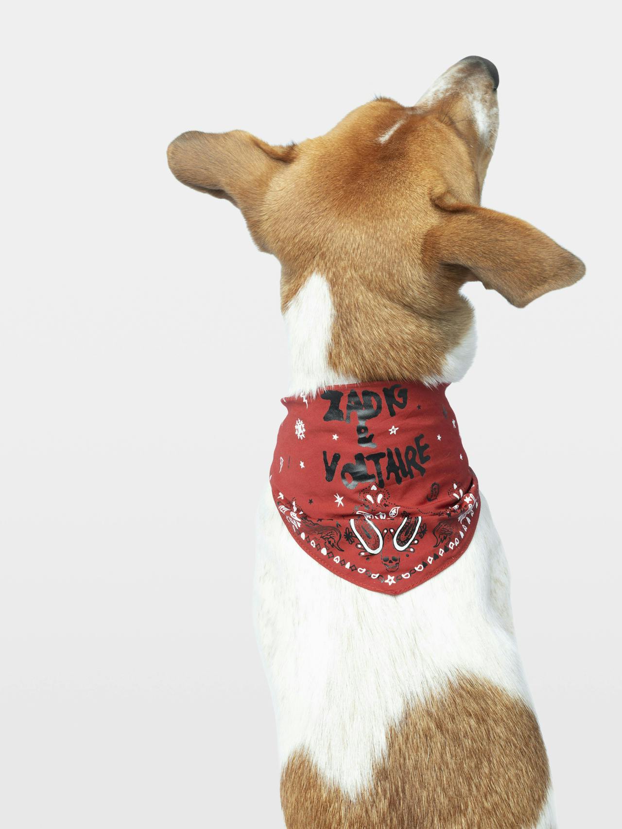 Bandana Zadog