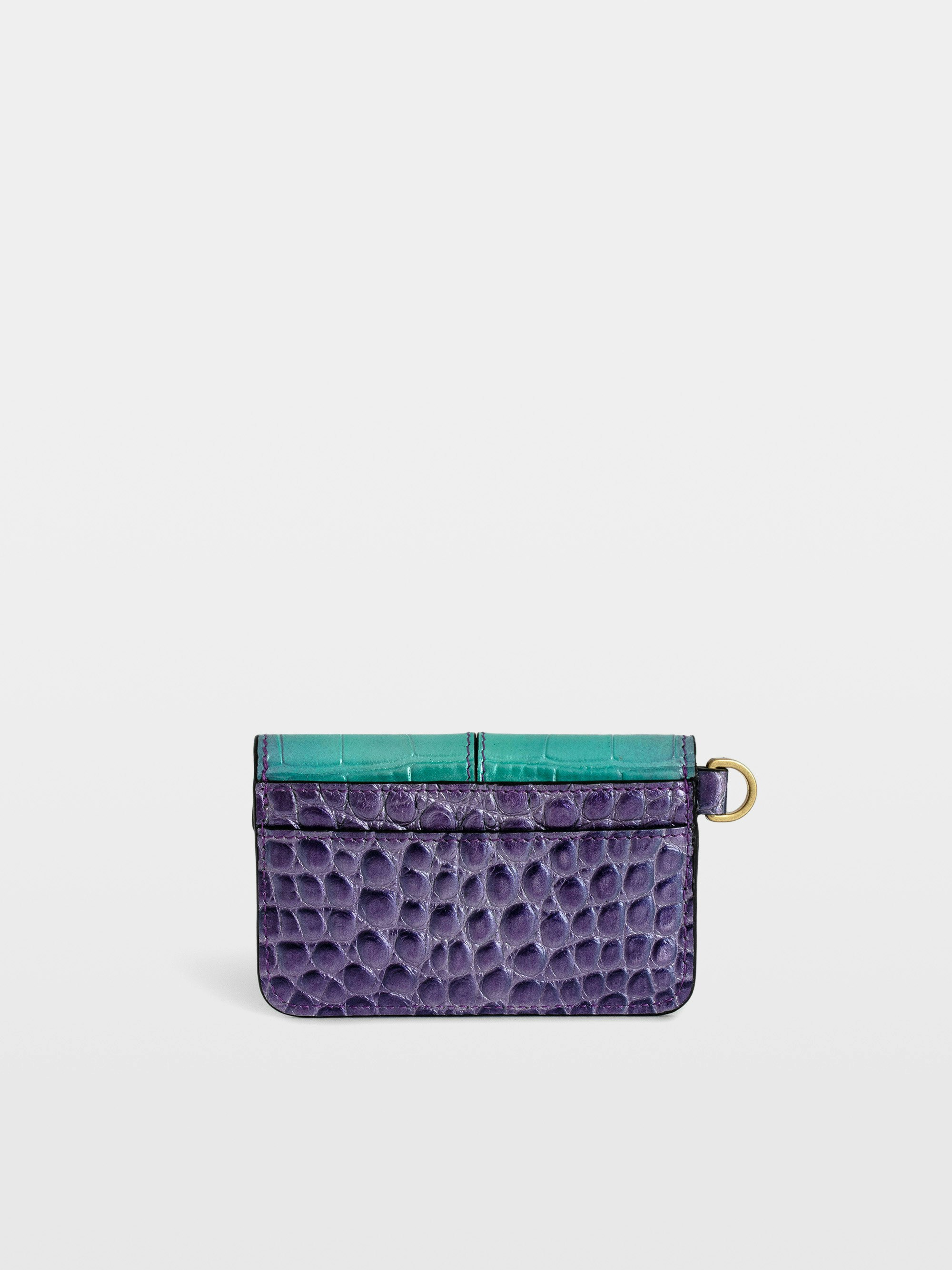 Kartenetui Borderline Pass Metallisch Geprägt