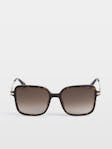 Sunglasses ZV26S4
