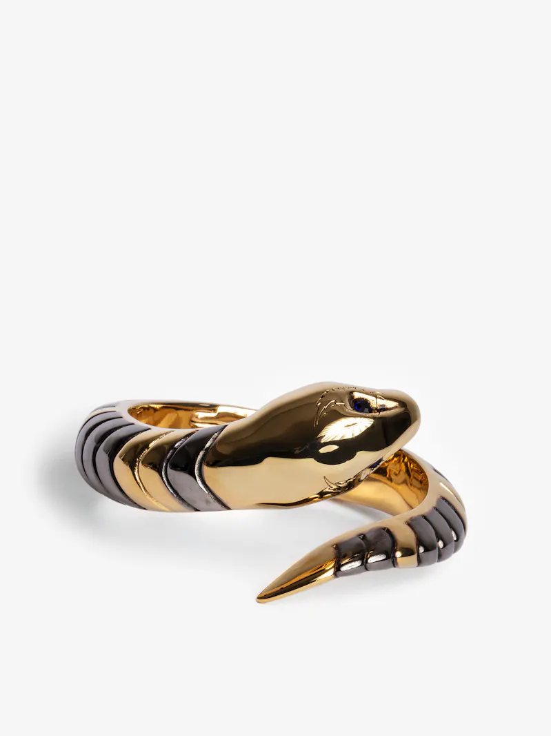 OWJW00033_SHINY_GOLD_PACKSHOT