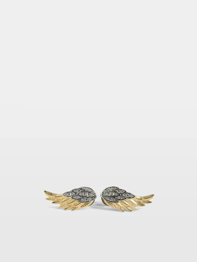 Boucles d'Oreilles Rock Feather