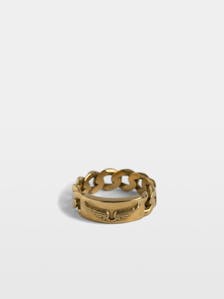 Chain Ring