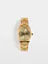 Zadig Curved Watch
