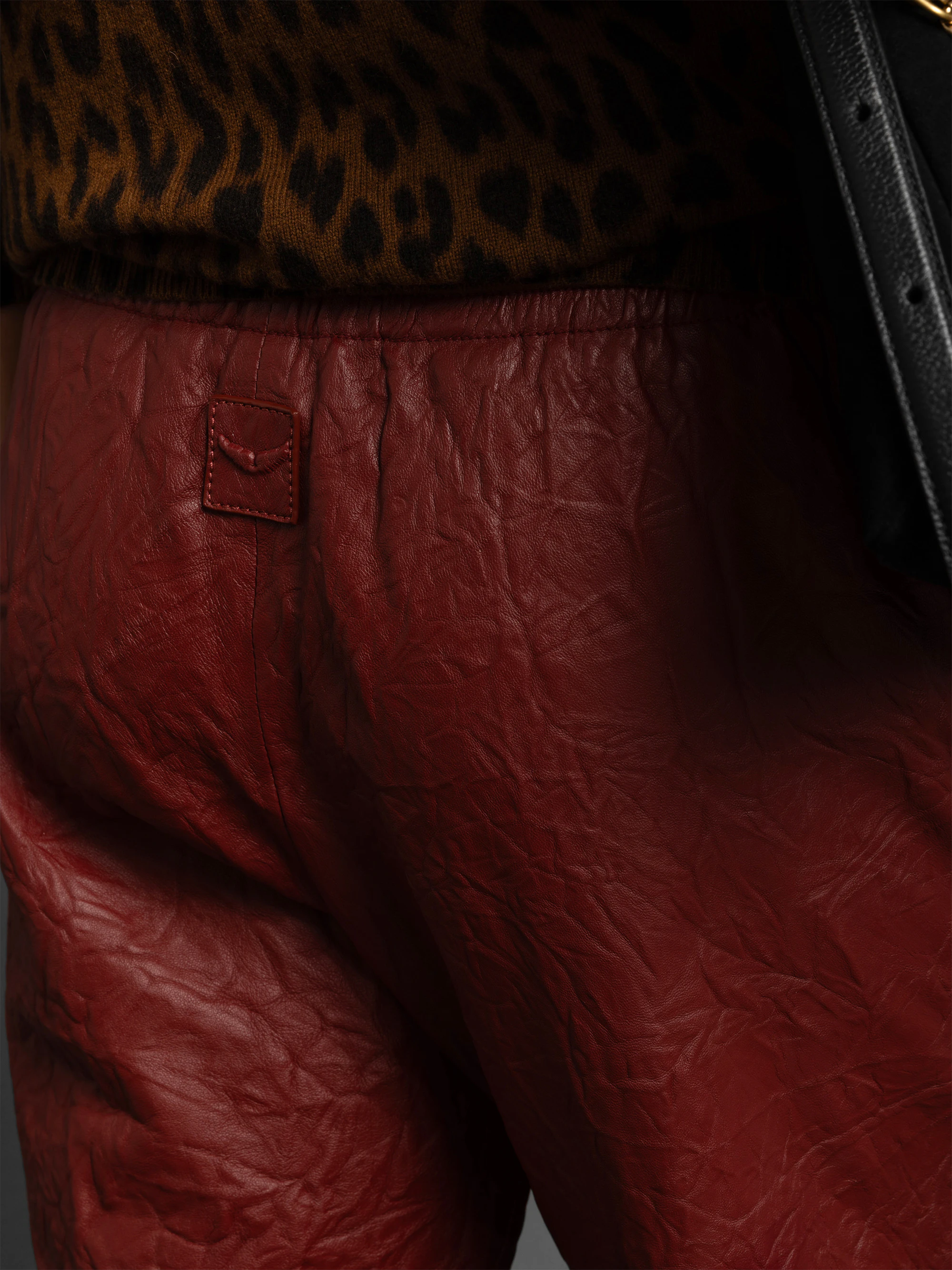 Pocha Crinkled Leather Trousers thumbnail 4