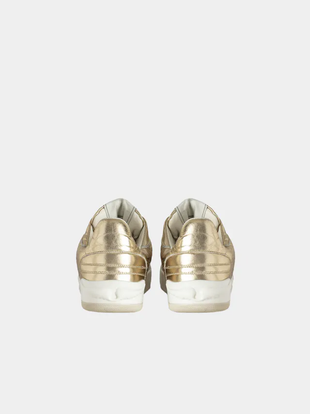 Sneakers Basses Wings