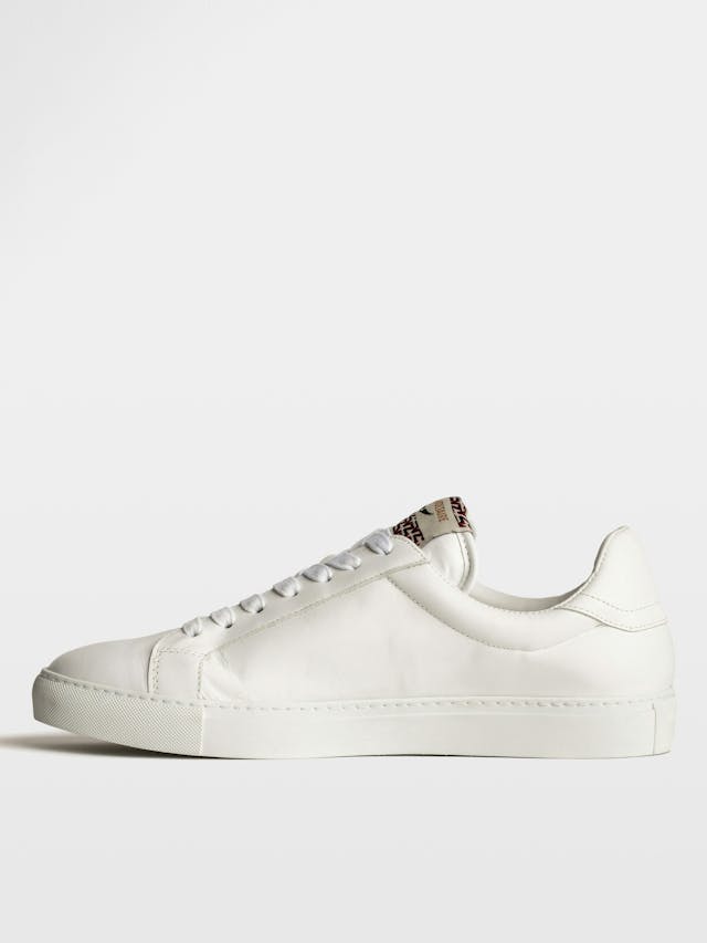 Sneakers ZV1747 La Flash