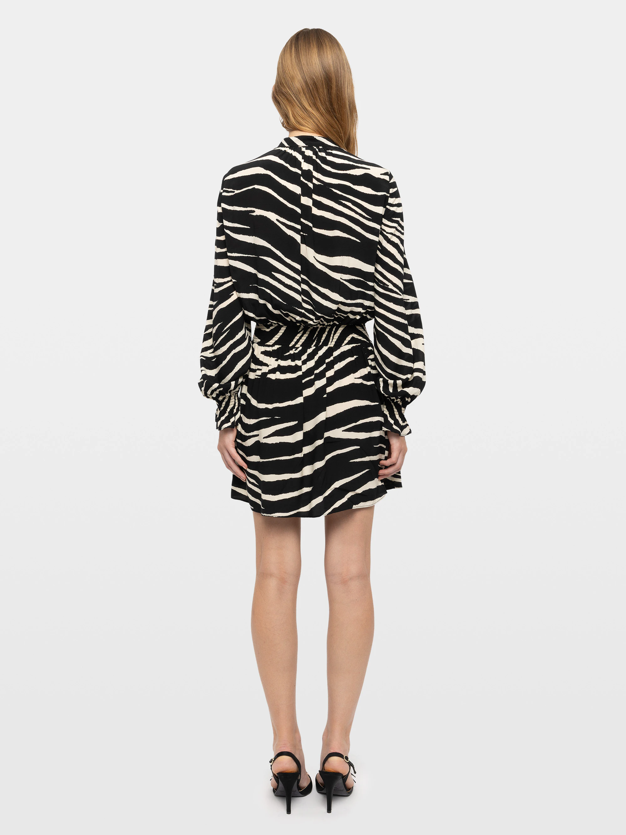Robe Rayados