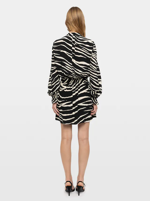 Robe Rayados