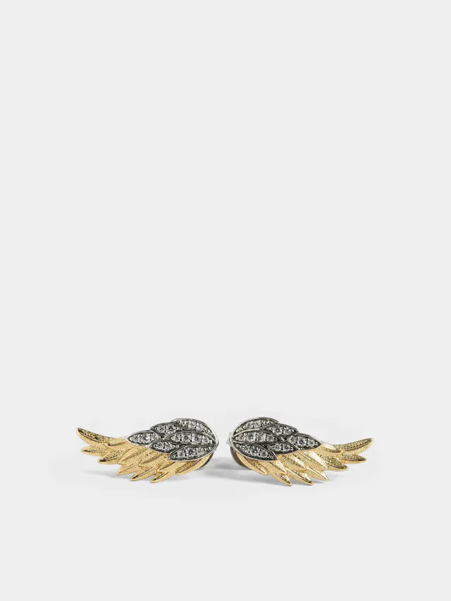 Boucles d'Oreilles Rock Feather