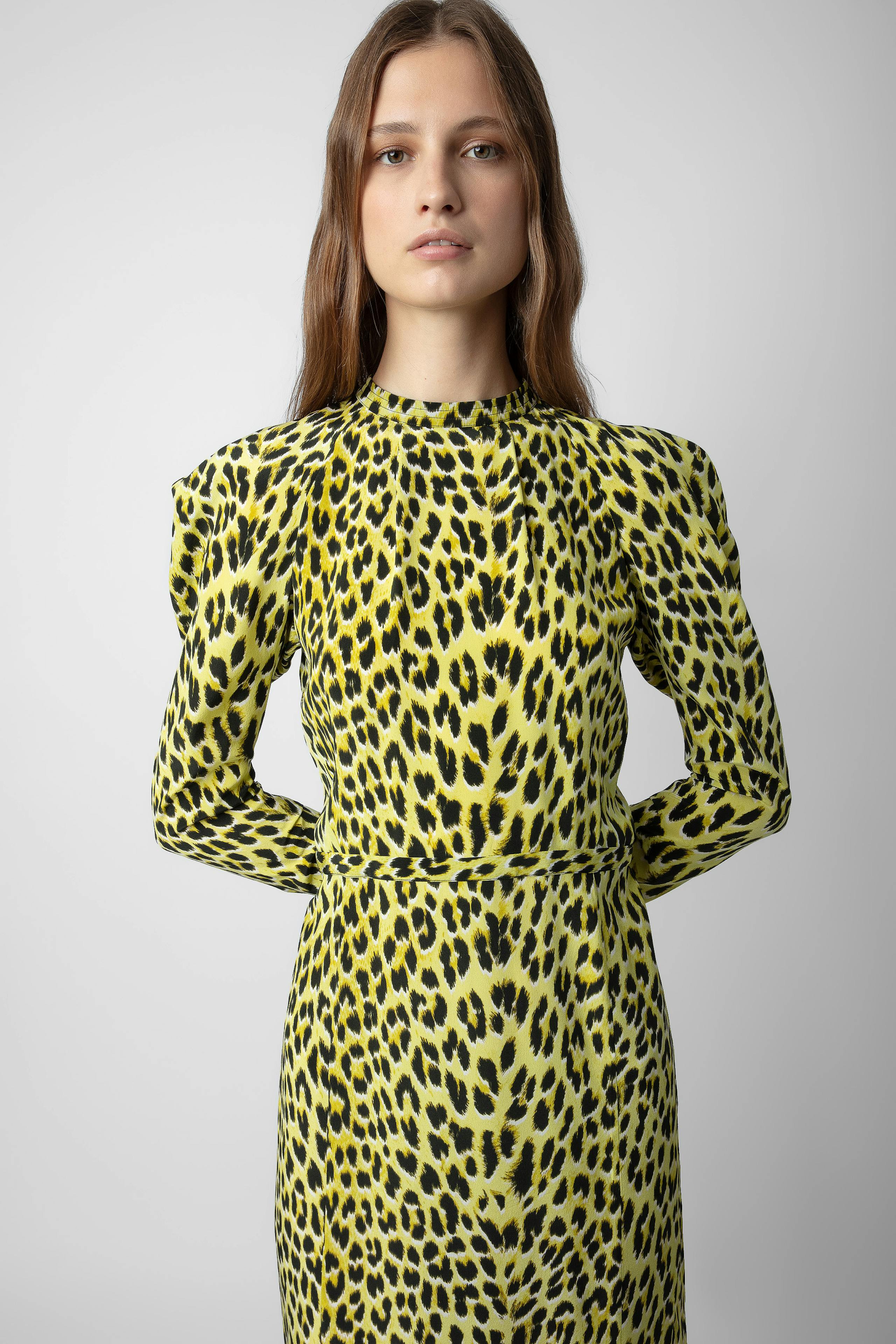 Racyl Leopard Silk Dress 3